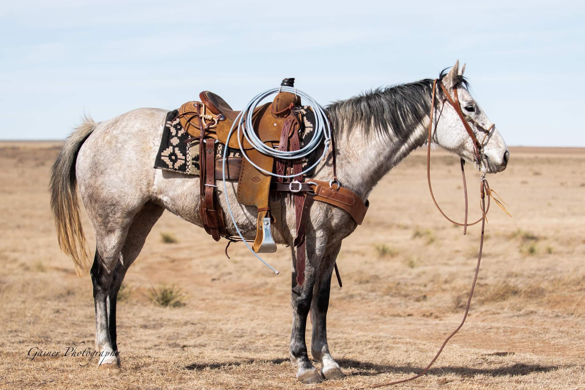 Harness Leather Tripping Collars