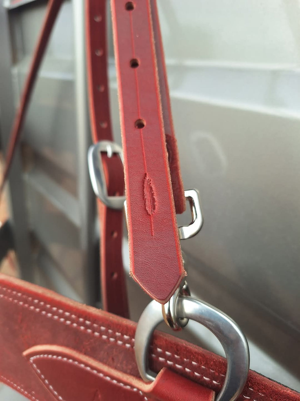 Latigo Tripping Collar
