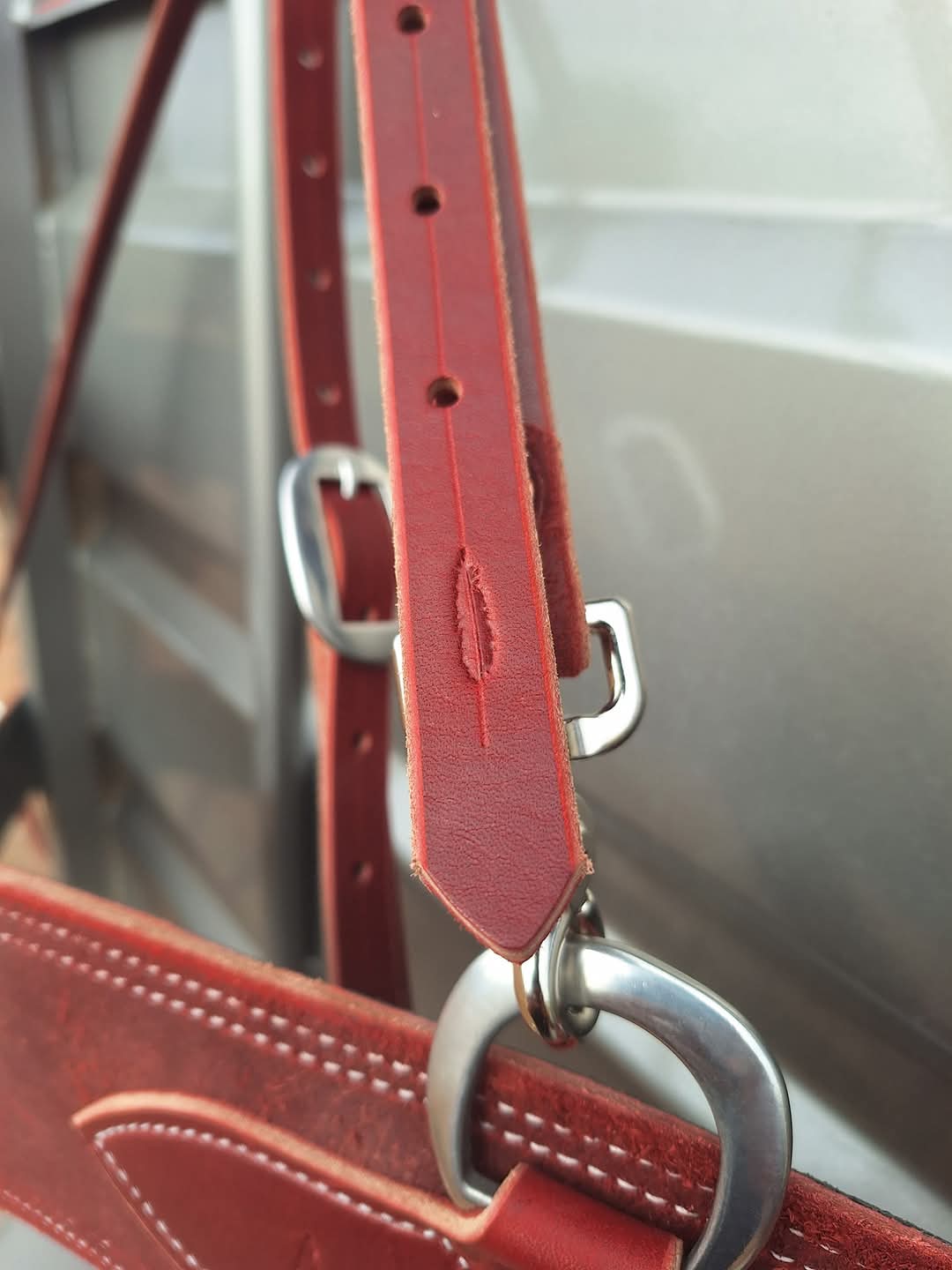 Latigo Tripping Collar
