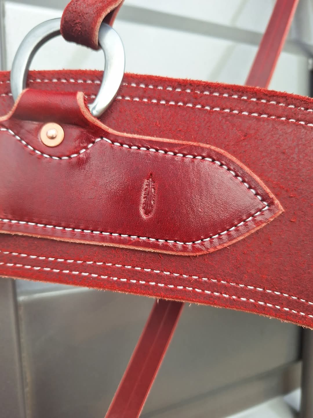 Latigo Tripping Collar