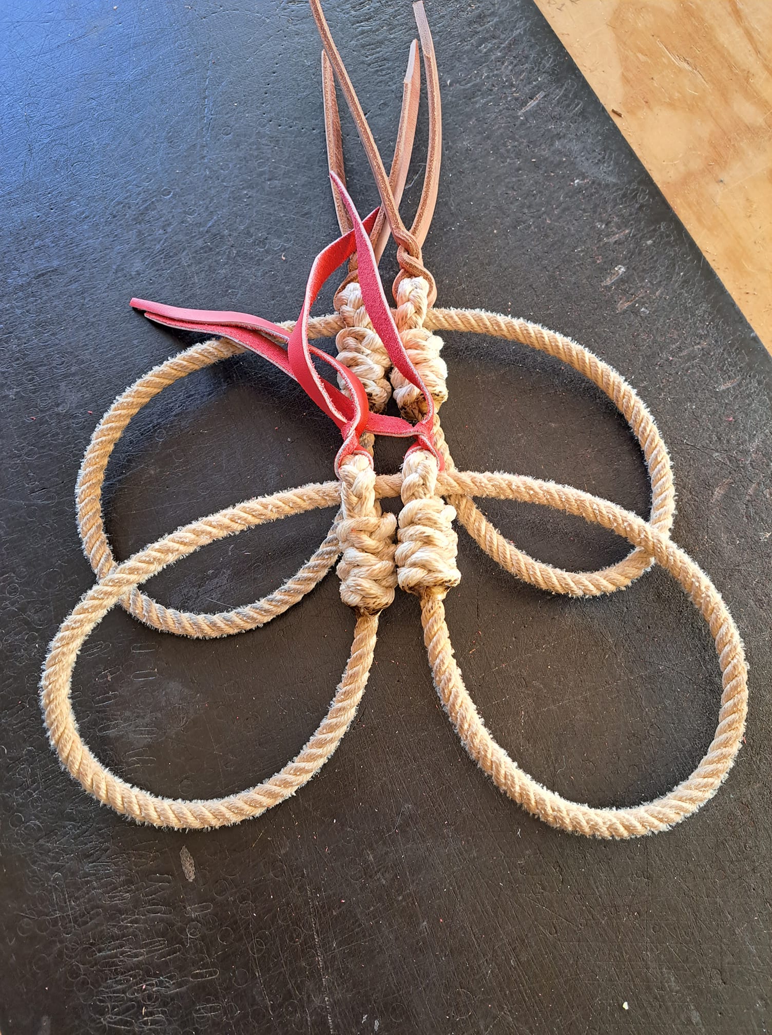 Bull/Cow Shackles